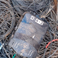 Vecinos de Mérida, sin internet por una plaga de ratas en viviendas sociales