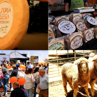 Vive la Trashumancia y la Feria del Queso de Valverde de Leganés: un viaje que da sabor a la tradición