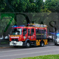 Movilizan a los Bomberos y la Policía tras caer un árbol sobre la vía pública en Valdepasillas