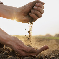 Indignación en el campo extremeño: "Somos moneda de cambio"
