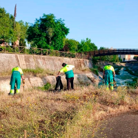 Arrancan las labores de limpieza y fumigación en los arroyos Rivillas y Calamón de Badajoz