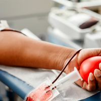 Dona sangre en Badajoz: la Diputación organiza una nueva jornada solidaria este jueves