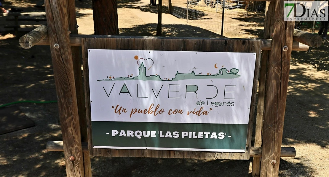 Vive la Trashumancia y la Feria del Queso de Valverde de Leganés: un viaje que da sabor a la tradición
