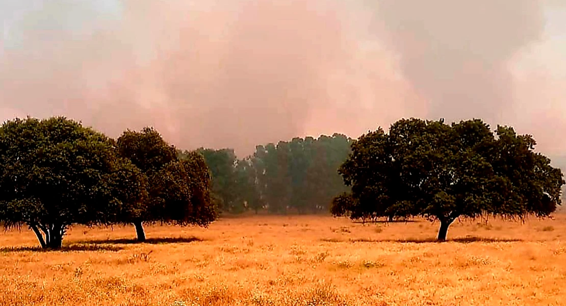 Desactivado el nivel 1 por el incendio forestal en Madrigalejo