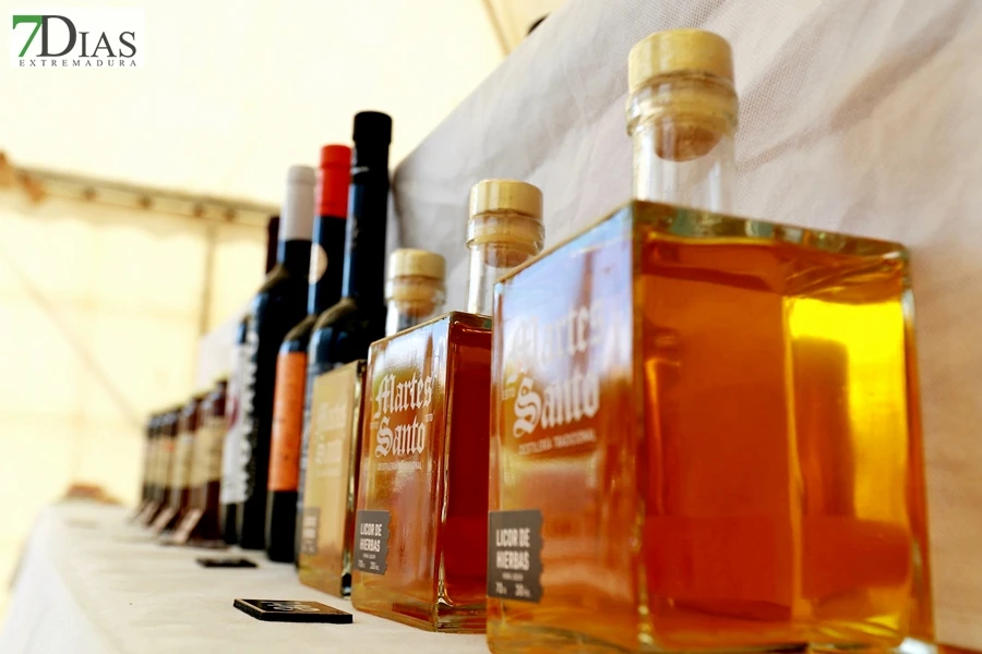 Tradición con arraigo: la feria ganadera de Alconchel celebra 184 años de historia