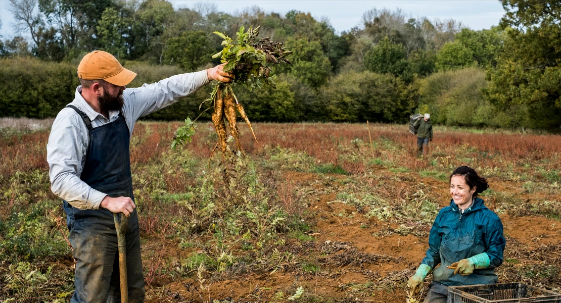 La agricultura extremeña perderá 12,6 millones si Europa aprueba aranceles a fertilizantes