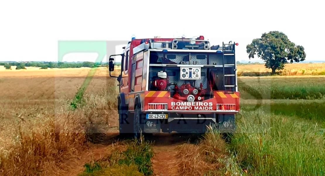 El calor no da tregua: quinto incendio del día en Extremadura