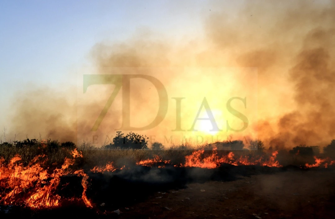 ¿Por qué huele a quemado en Badajoz? Un incendio levanta una impresionante columna de humo