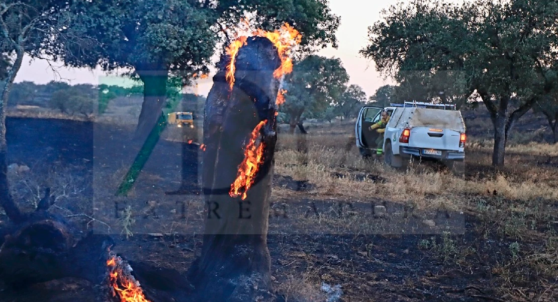 Un incendio en Alburquerque moviliza helicópteros: cinco horas de extinción