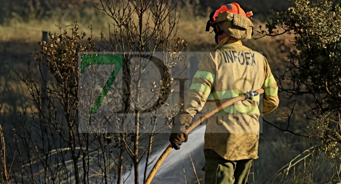 REPOR: Imágenes del incendio forestal en La Roca de la Sierra (BA)