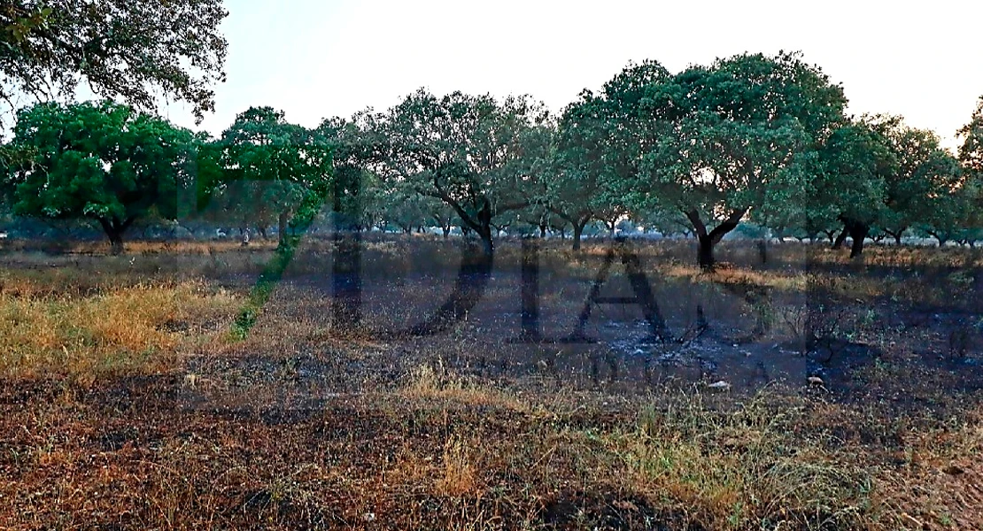 Un incendio en Alburquerque moviliza helicópteros: cinco horas de extinción