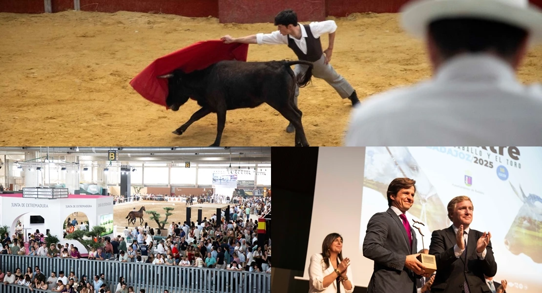 Finaliza Ecuextre: lo mejor del caballo y el toro en Badajoz