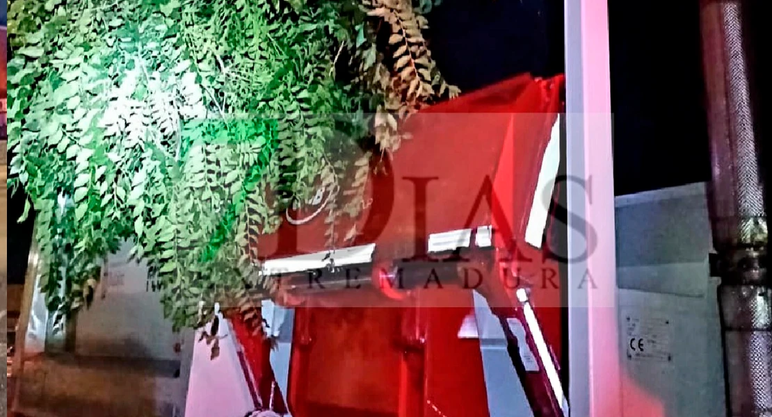 Cae un árbol encima de un camión en Badajoz
