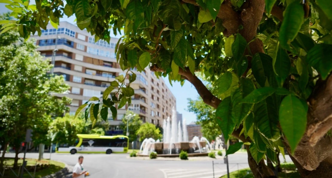 El Ayto. suelta 180.000 insectos para proteger los árboles de Badajoz