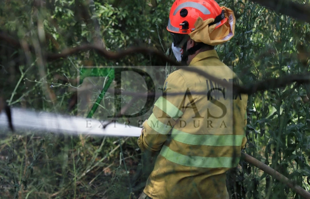 Impresionante columna de humo en Badajoz por un incendio en la ribera de Balboa