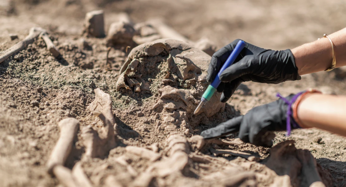 El Gobierno destina 186.000 € a Extremadura para la exhumación e identificación de víctimas del franquismo