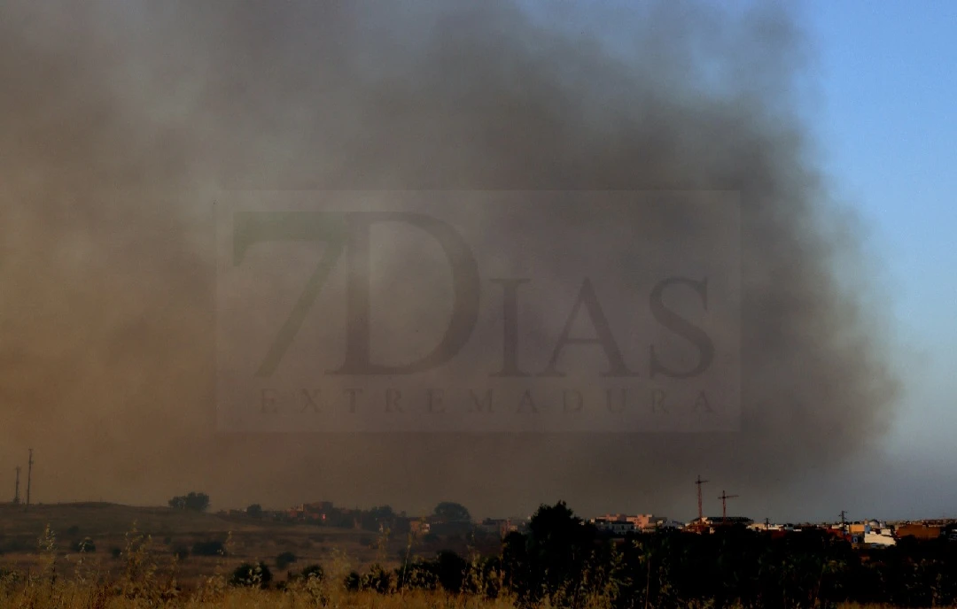 ¿Por qué huele a quemado en Badajoz? Un incendio levanta una impresionante columna de humo