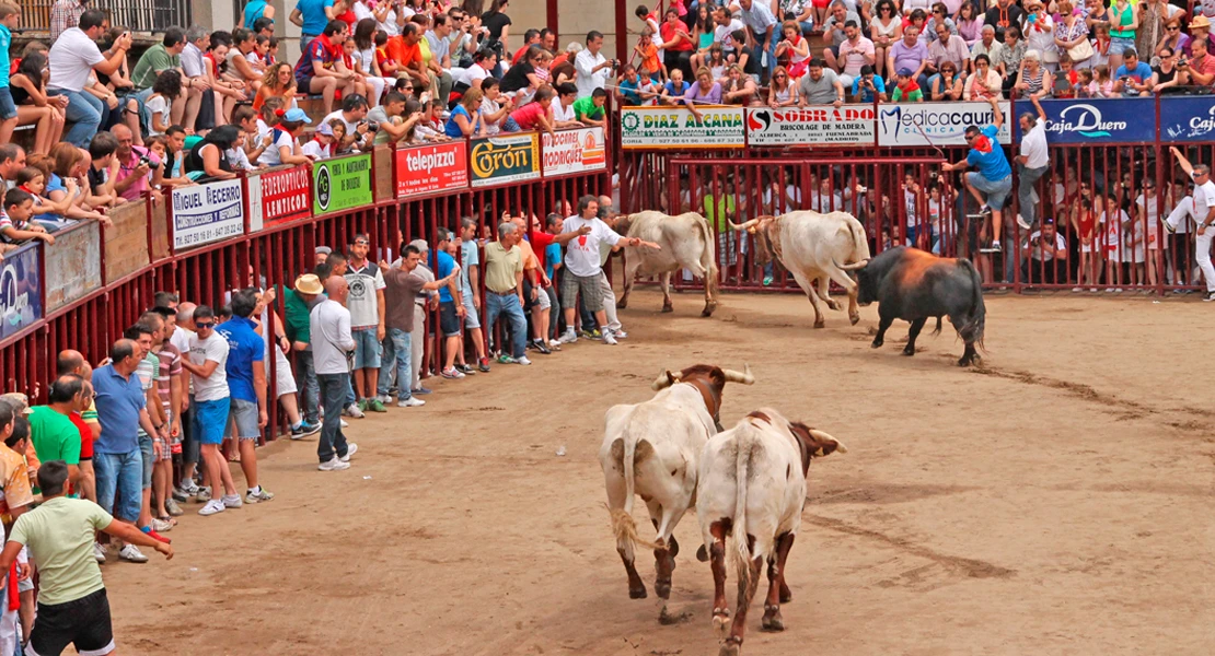 Un toro cornea a un hombre en los Sanjuanes de Coria