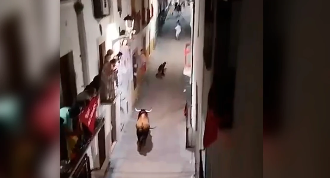 Otra cogida de toro deja un herido esta madrugada en Coria
