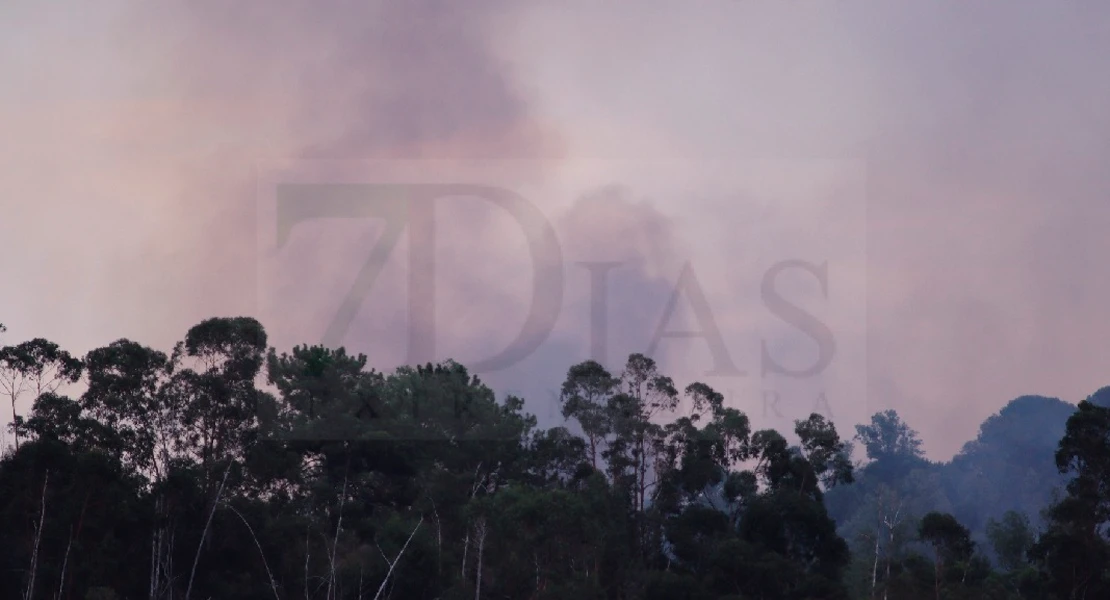 Un gran incendio devasta parte de la Sierra de San Pedro