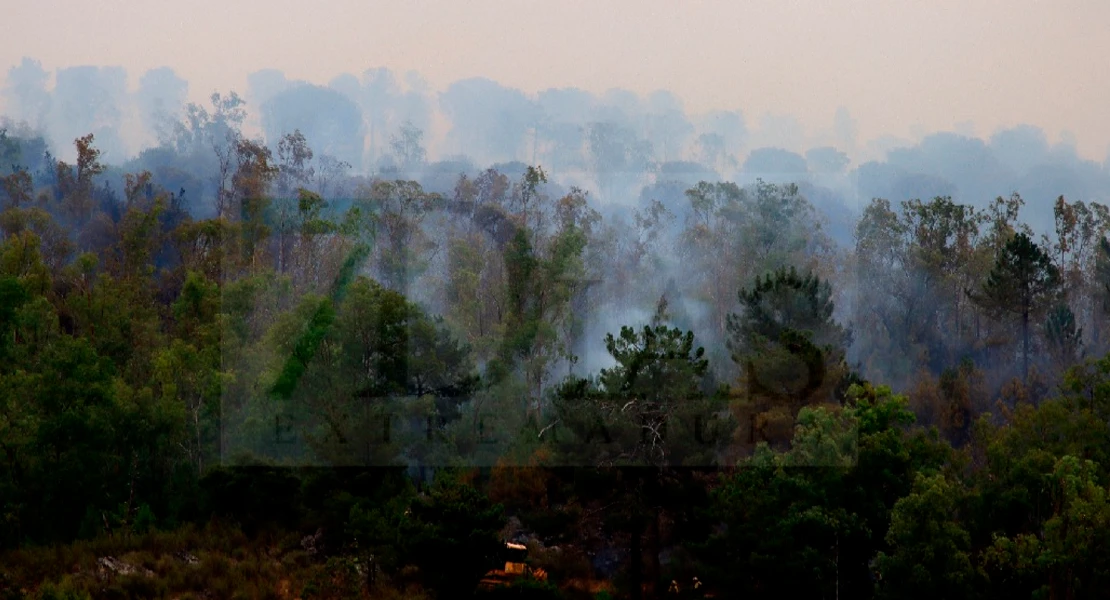 Un gran incendio devasta parte de la Sierra de San Pedro