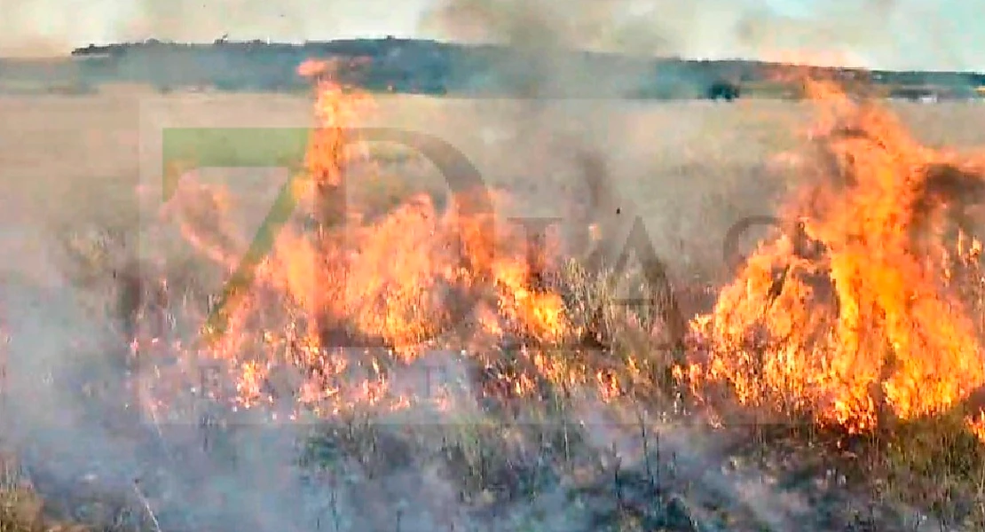 Un incendio junto a la Base Aérea de Talavera moviliza un amplio dispositivo de bomberos