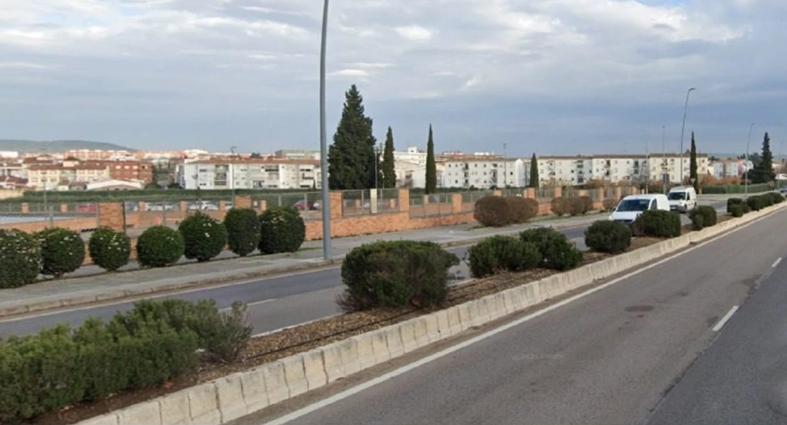 Denuncian la eliminación de adelfas en Mérida para que "los radares cacen como a conejos"