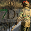 REPOR: Imágenes del incendio forestal en La Roca de la Sierra (BA)