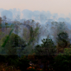 Un gran incendio devasta parte de la Sierra de San Pedro