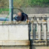 Salvan la vida a una mujer con intenciones de tirarse al río Guadiana en Badajoz