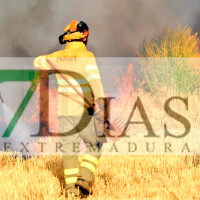 Un incendio en el sureste de Badajoz obliga a activar el nivel 1 de alerta