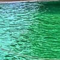 Critican “el mal estado del agua de la piscina municipal en Aldea Moret”