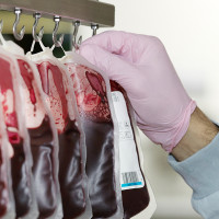 Unos investigadores crean sangre artificial compatible con todos los grupos sanguíneos