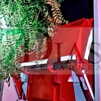 Cae un árbol encima de un camión en Badajoz