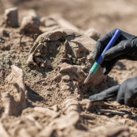 Extremadura recibirá 186.000 € para la exhumación e identificación de víctimas del franquismo