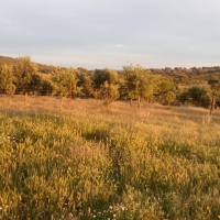 Sequía y desertificación: Extremadura debe tomar medidas "o lo pagaremos caro"