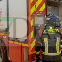 Un incendio calcina parte de una finca en la provincia de Badajoz