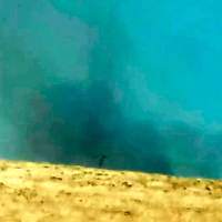 Un incendio forestal avanza sin control cerca de Garrovillas de Alconétar