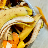 La UEx investiga cómo crear ingredientes saludables a partir de residuos vegetales