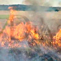 Un incendio junto a la Base Aérea de Talavera moviliza un amplio dispositivo de bomberos