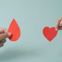 Día Mundial del Donante de Sangre: "Los extremeños podemos sentirnos orgullosos"