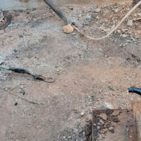 El campo sufrió una media de 29 robos durante el pasado año