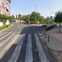 Denuncian que “Chinches, garrapatas e insectos invaden las calles de Plasencia”