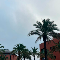 Extremadura sube grados este viernes