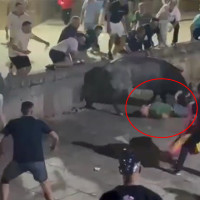 Otro toro cornea a una persona esta madrugada en Coria