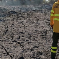 El primer incendio de la campaña se podría haber evitado, según los Agentes del Medio Natural