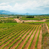 Ecologistas Extremadura no participa en el Consejo Asesor de Medio Ambiente en señal de protesta