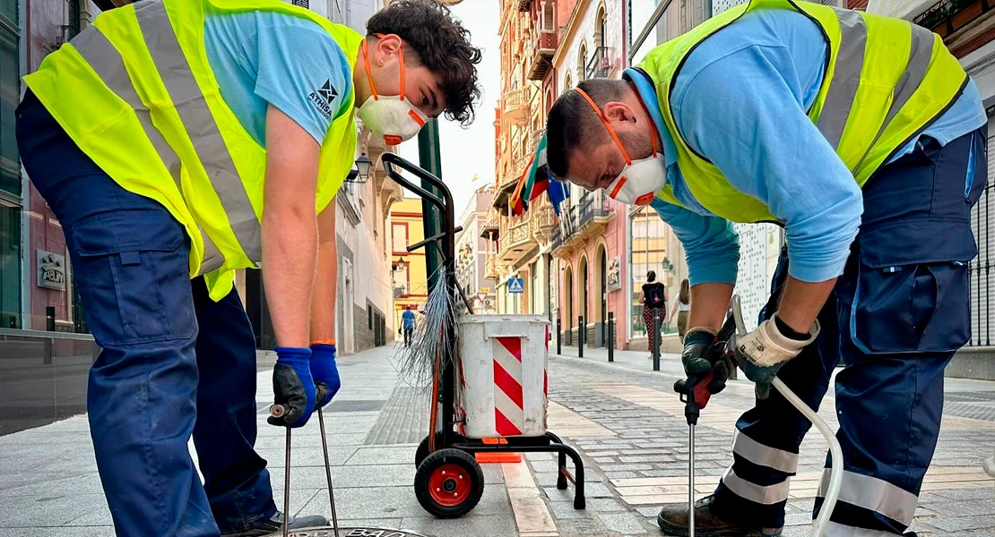 El Ayto. de Badajoz intensifica las labores contra las plagas de ratas y cucarachas