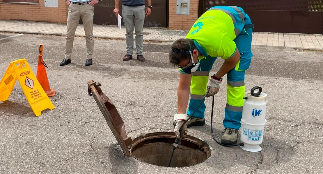 Cáceres refuerza su campaña de control de plagas en todos los barrios