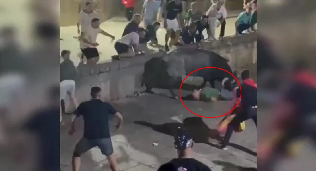 Otro toro cornea a una persona esta madrugada en Coria